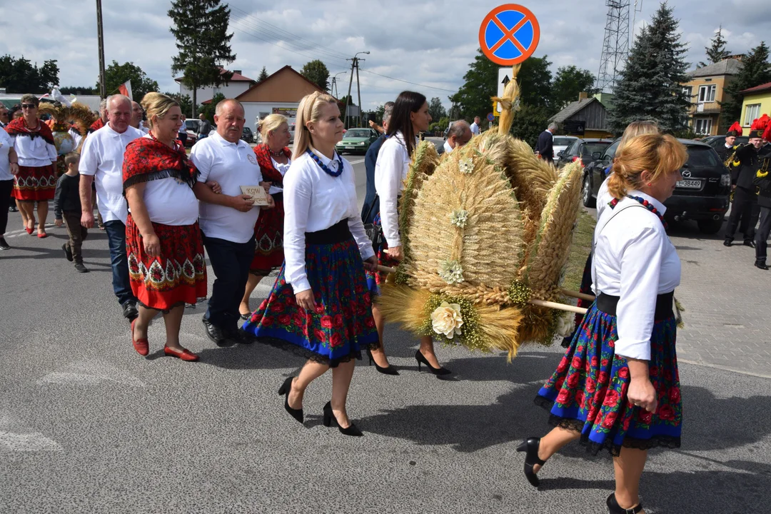 Dożynki powiatu łęczyńskiego w Cycowie