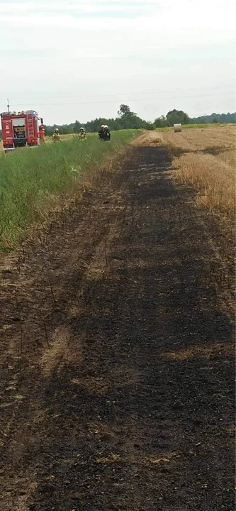 Pożar prasy rolniczej i rżyska w gminie Wojcieszków