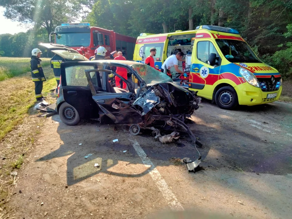 Młoda kobieta dachowała samochodem w Branicy Radzyńskiej Kolonii - Zdjęcie główne