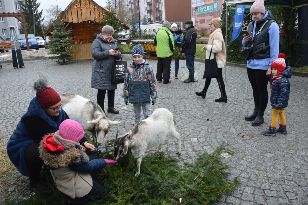 Jarmark Bożonarodzeniowy w Poniatowej