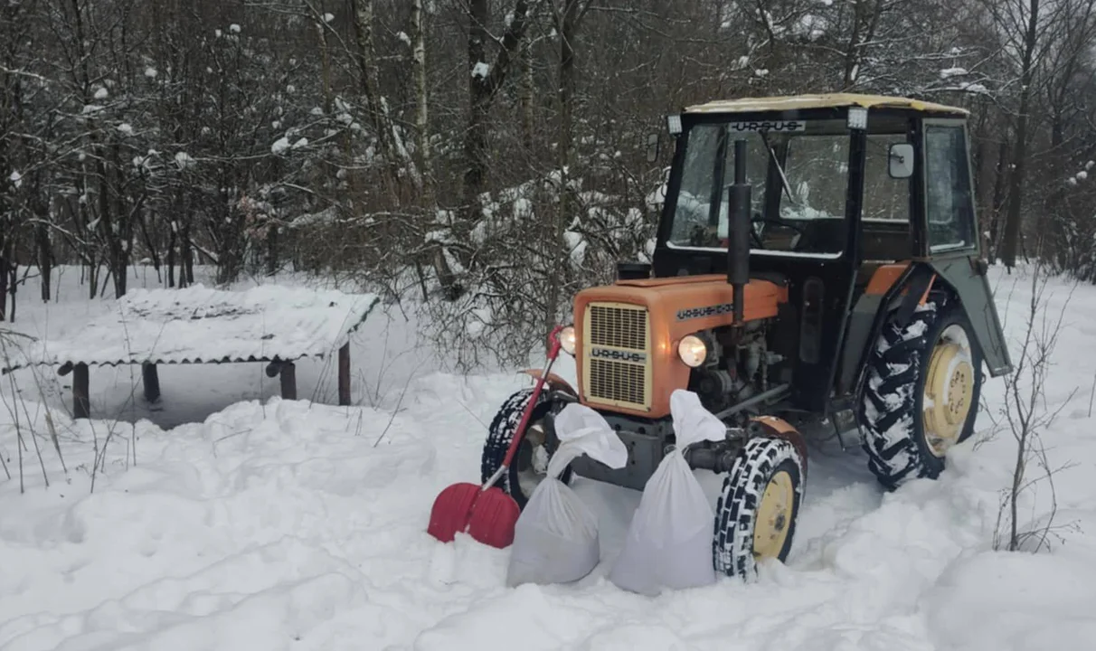 I kto ruszył do podzamojskich lasów nieść pomoc? (foto) - Zdjęcie główne