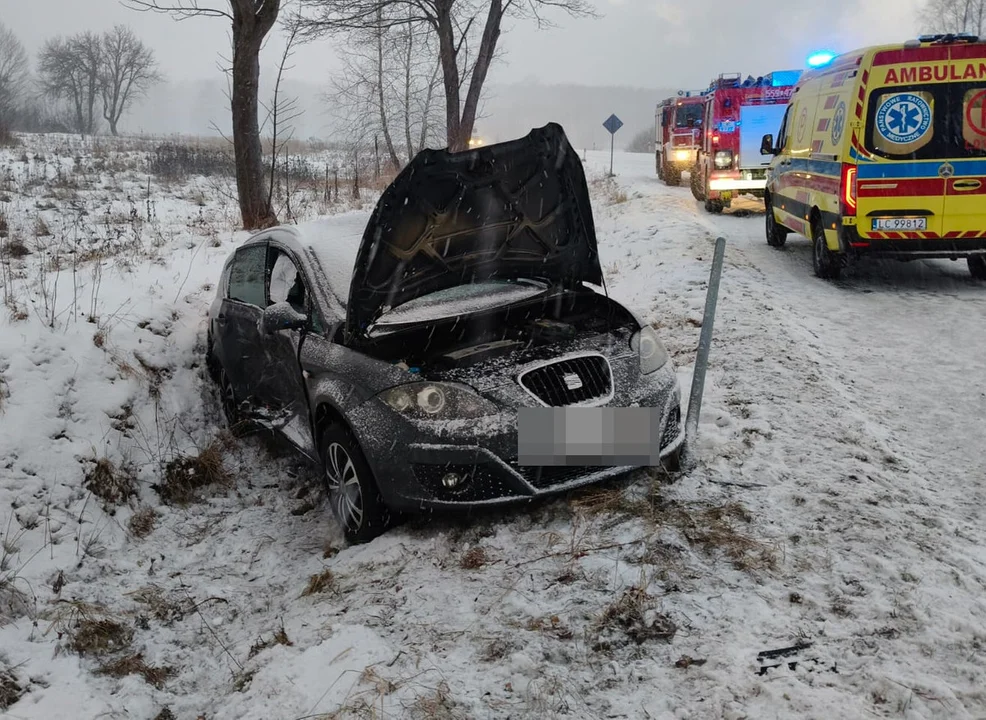 Lubelskie: Jeden kierowca był pijany i wjechał w drzewo. Kolejny doprowadził do zderzenia - Zdjęcie główne