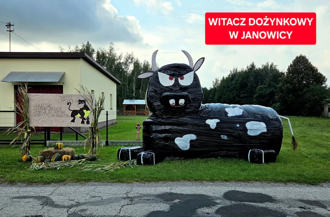 Kreatywne witacze ozdobiły Gminę Cyców. Mieszkańcy przygotowują się do dożynek - Zdjęcie główne