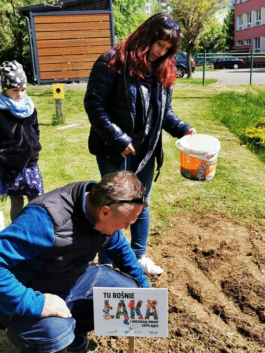 Lublin: Przy szkołach rozkwitają łąki. To projekt z Budżetu Obywatelskiego