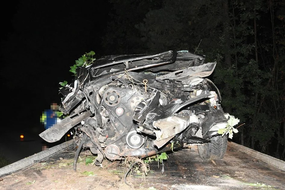 Powiat bialski: Wymijając inne auto, uderzył w łosia, a potem w drzewo