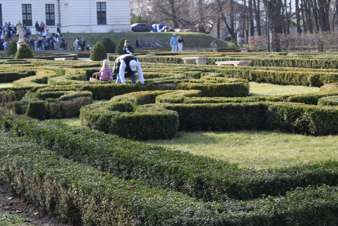 Szukanie jajek w parku
