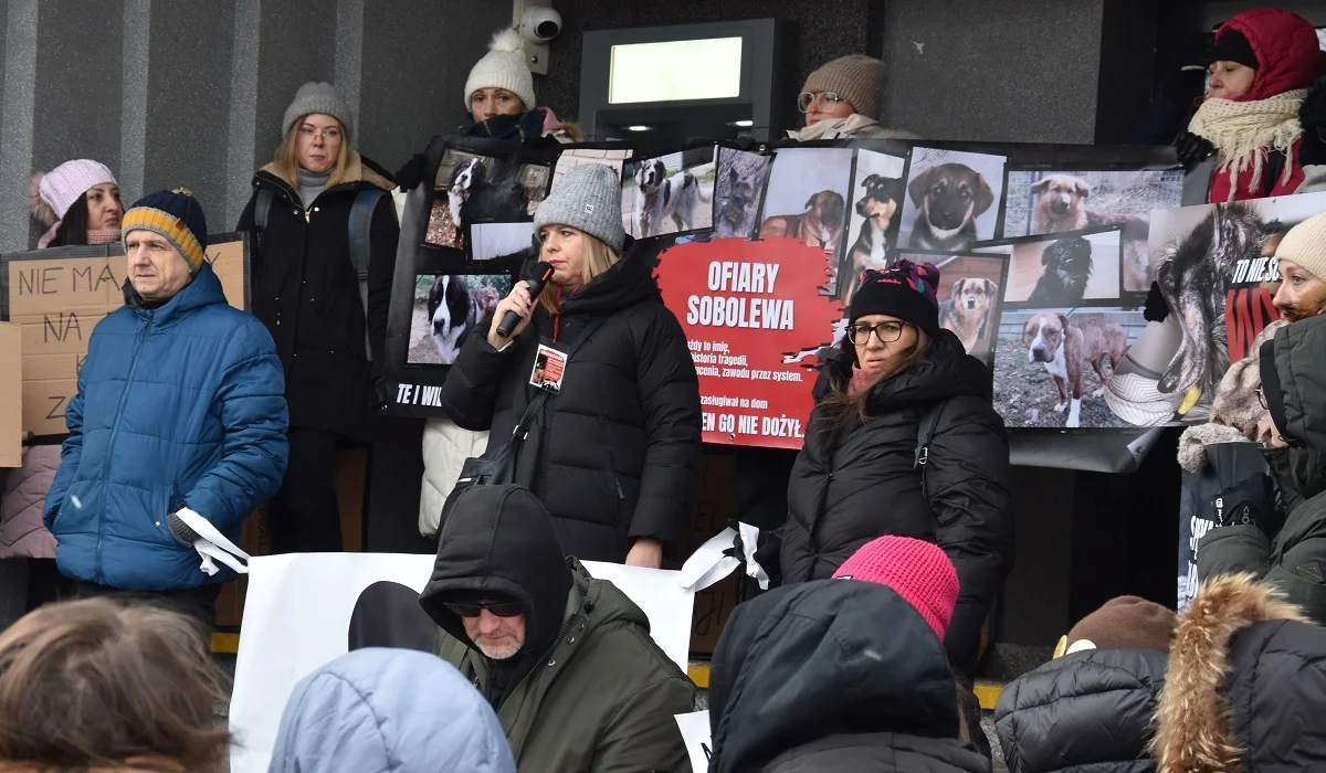 Sobolew: Domagali się poprawy warunków życia zwierząt - Zdjęcie główne