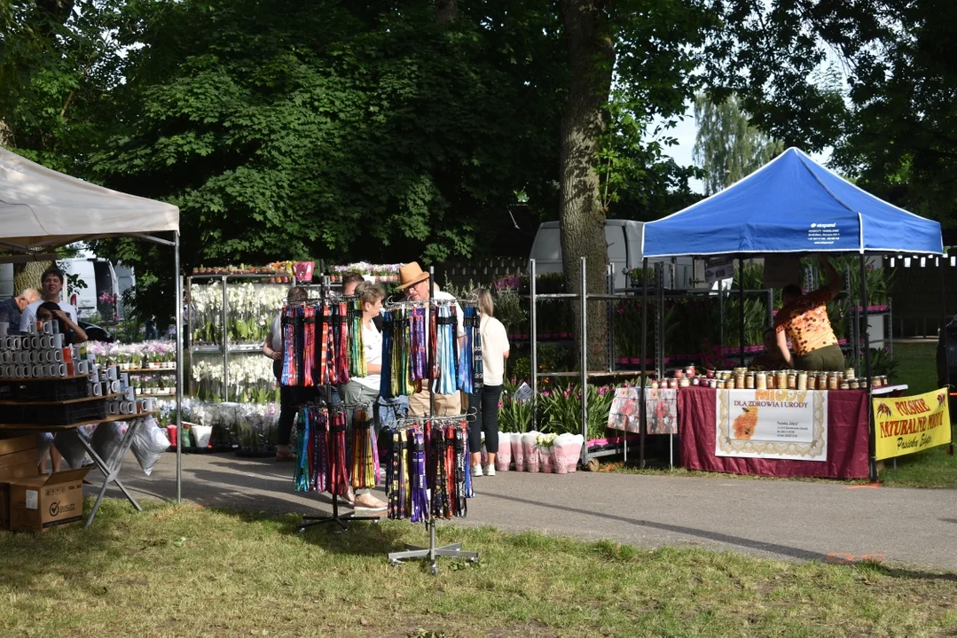 Święto Róż w Końskowoli - piknik rodzinny