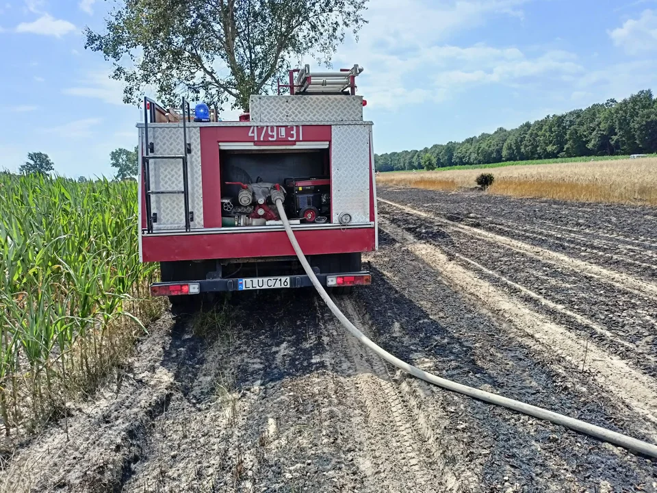 Pożar zboża gmina Serokomla