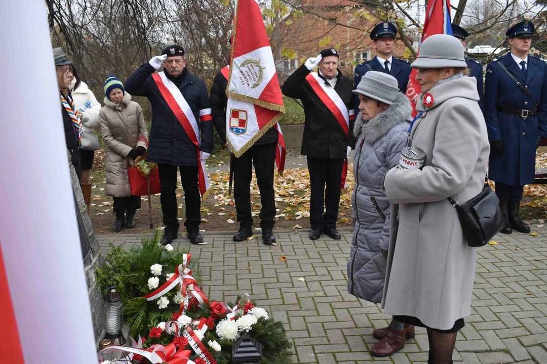 Obchody 11 listopada w Puławach