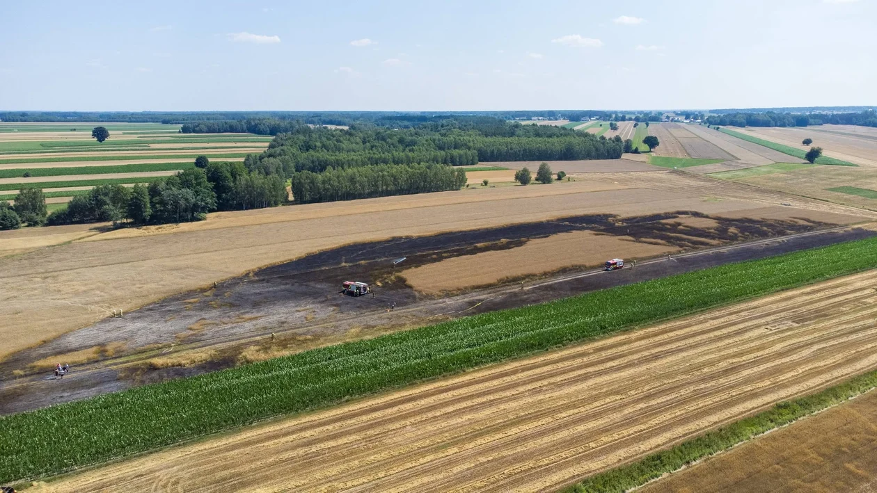 Ogień błyskawicznie objął pole. Spłonęło około 2 hektarów zboża, zaczęło się od kombajnu - Zdjęcie główne