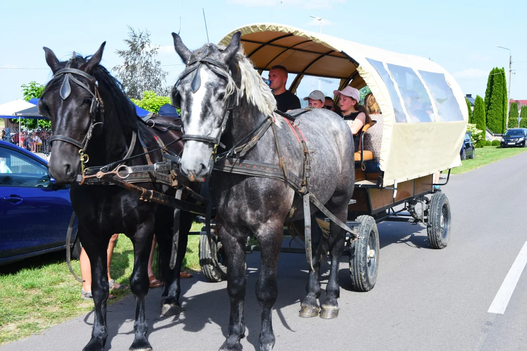 Rodzinny Festyn w Zalesiu