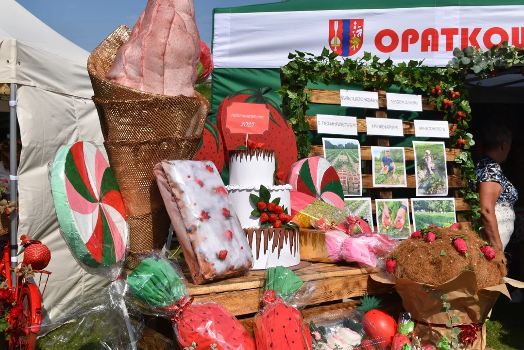 Truskawkobranie 2025 w Górze Puławskiej