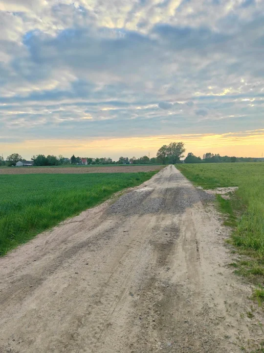 Te drogi w gminie Łaskarzew idą do przebudowy. Łącznie 2,73 km - Zdjęcie główne