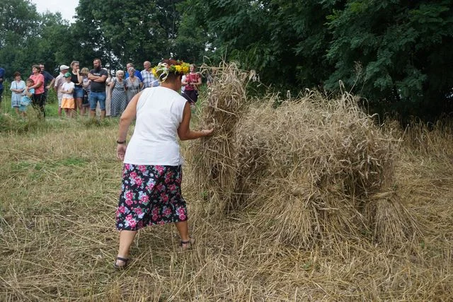 Żniwa w Bronicach