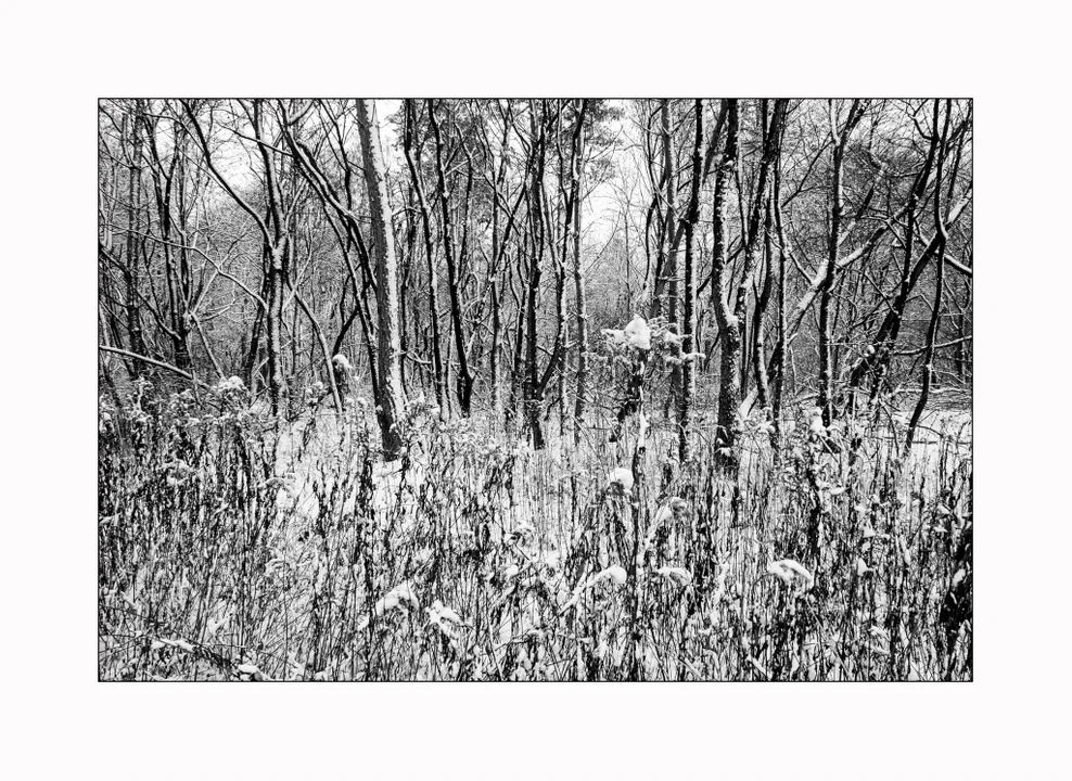 Artystyczne zdjęcia Daniela Mroza w Galerii "Kotara"