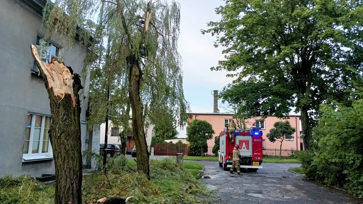 Silne burze przeszły przez Lubelszczyznę. Straż pożarna podsumowuje interwencje