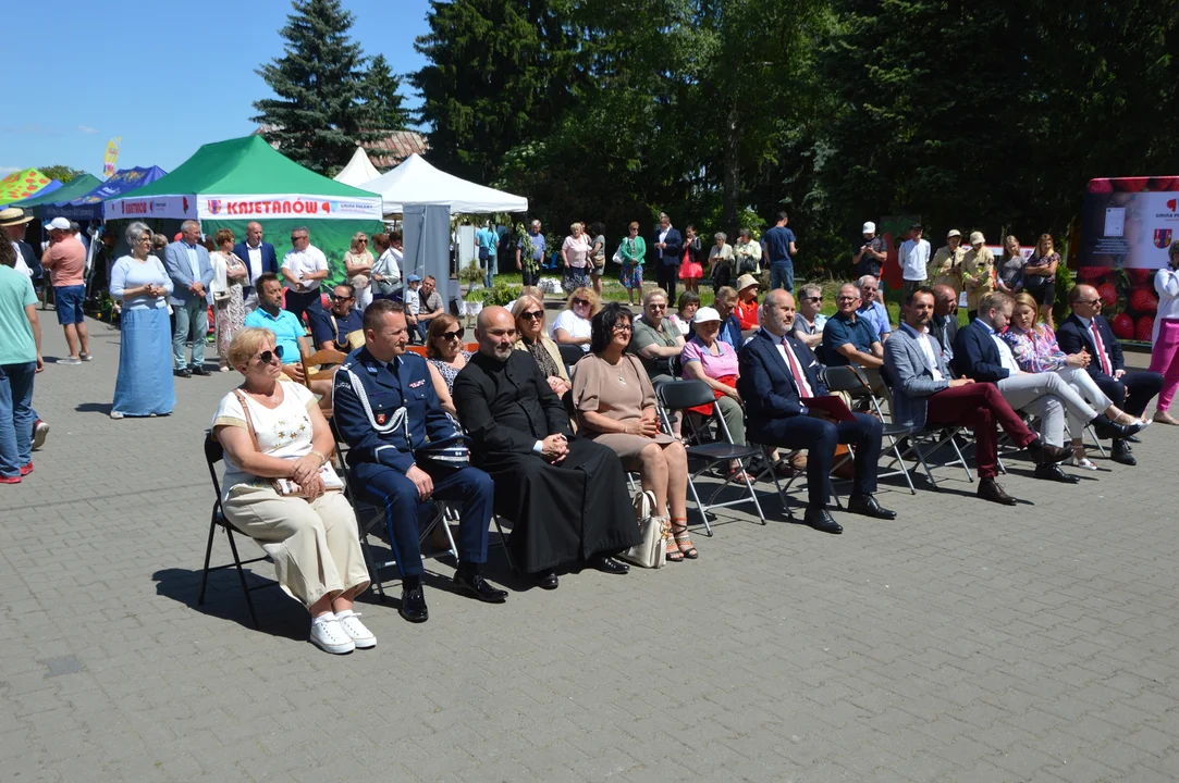 Wielkie Święto nadwiślańskiego folkloru w Gołębiu (galeria)