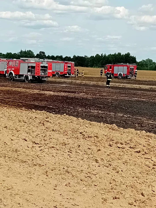 Pożar zboża w miejscowości Wojcieszków