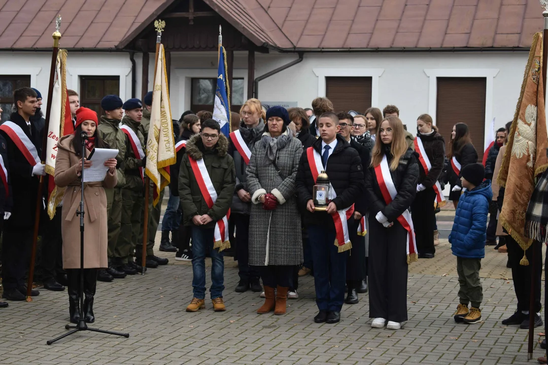 Obchody 11 listopada w Puławach