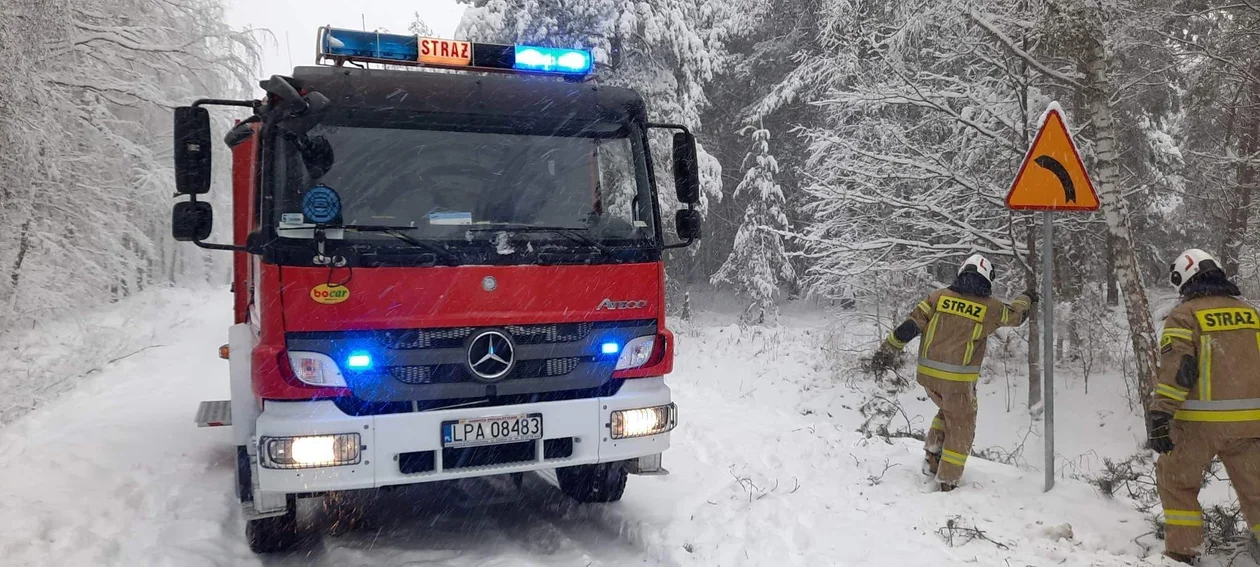 Powiat parczewski. Sytuacja na drogach po ataku zimy. Powalone drzewa i śnieg (ZDJĘCIA) - Zdjęcie główne