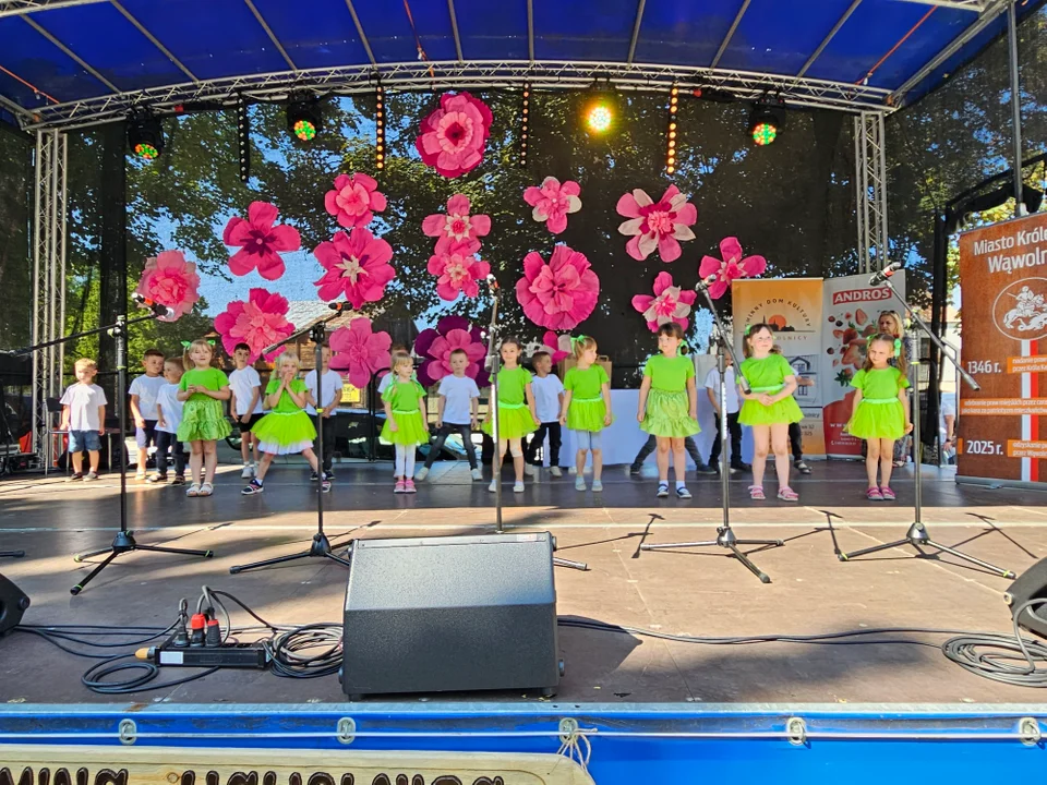 Dni Wąwolnicy - II Dzień (galeria)