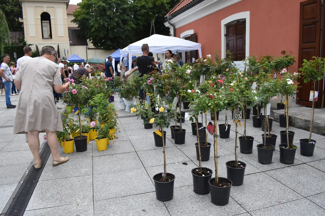 27. Święto Róż w Końskowoli