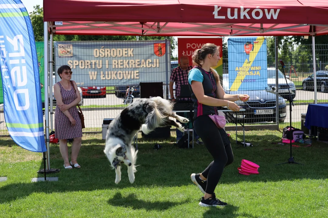 "Bądźmy Razem". Piknik dla osób niepełnosprawnych