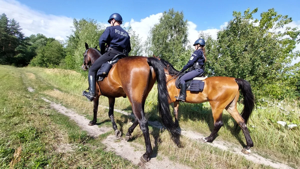 Województwo lubelskie: Policjanci patrolują granice na koniach