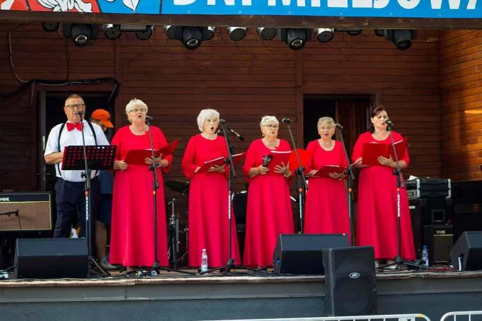 Święto mieszkańców gminy Milejów - Zdjęcie główne