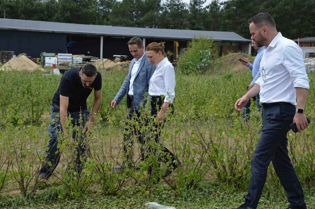 Powiat opolski: Wojewoda i marszałek zapowiadają pomoc dla rolników, którym grad zniszczył uprawy (ZDJĘCIA) - Zdjęcie główne