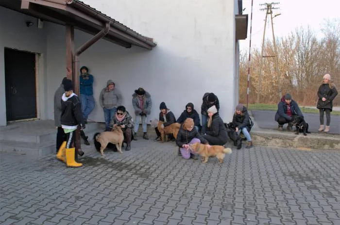 Milejów:  Psy niebawem stracą dach nad głową. Jesteśmy przerażeni! - Zdjęcie główne