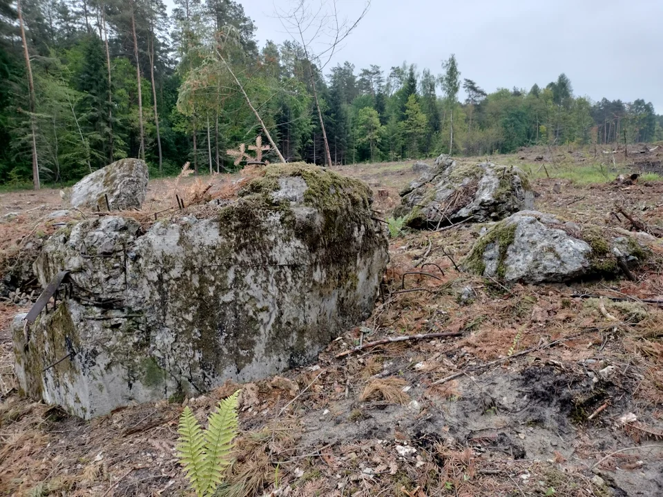 Lubelskie: Historyczna niespodzianka. Budowa ekspresówki odsłoniła bunkier z czasów wojny