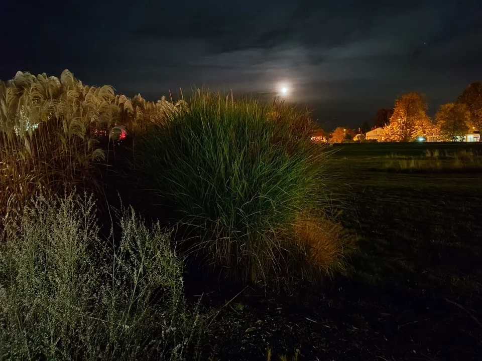 Puławskie Błonia nocą