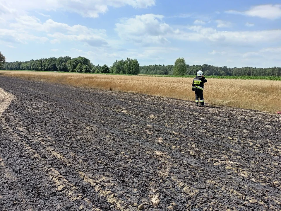 Pożar zboża gmina Serokomla