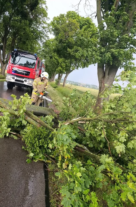 Burze nad Lubelszczyzną. 370 interwencji strażaków