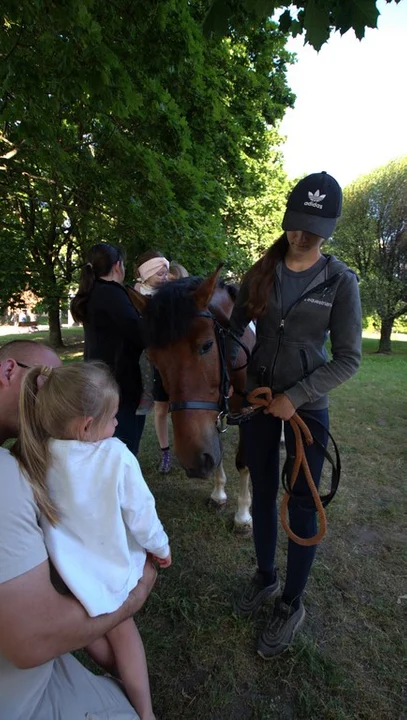 Piknik Rodzinny Hospicjum im. św. Matki Teresy w Puławach.