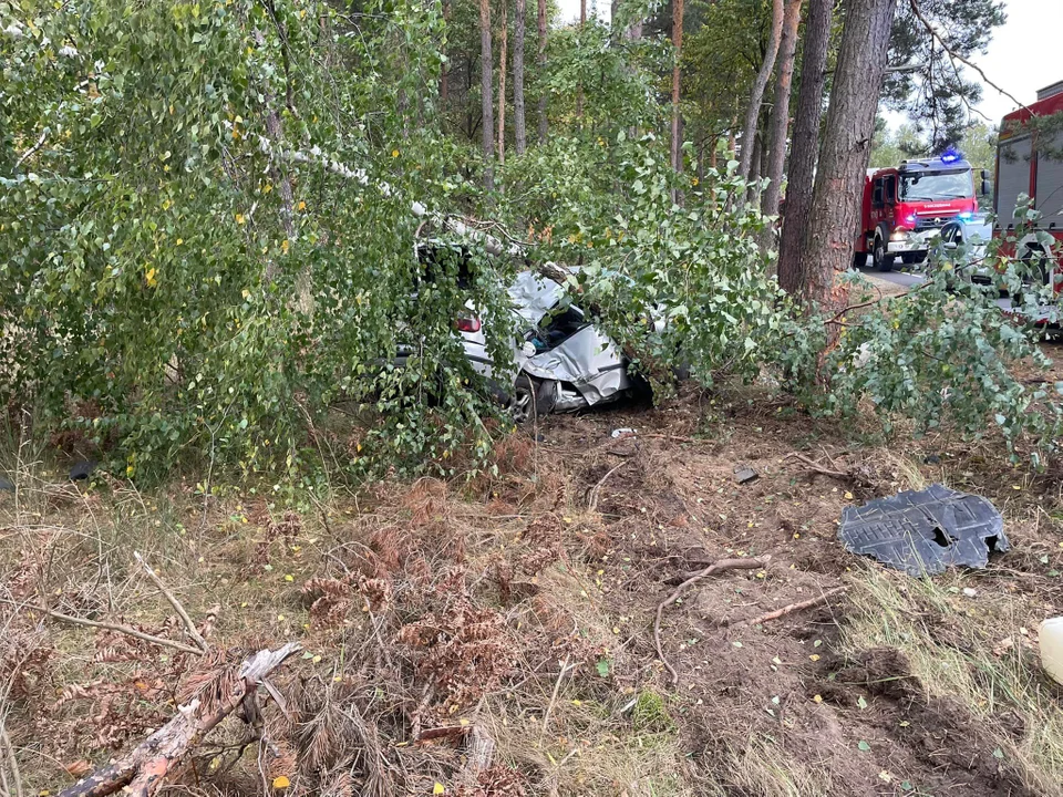 W gminie Krzywda 48-latek zginął po uderzeniu autem w drzewo. (zdjęcia wypadku z policji i straży pożarnej) - Zdjęcie główne