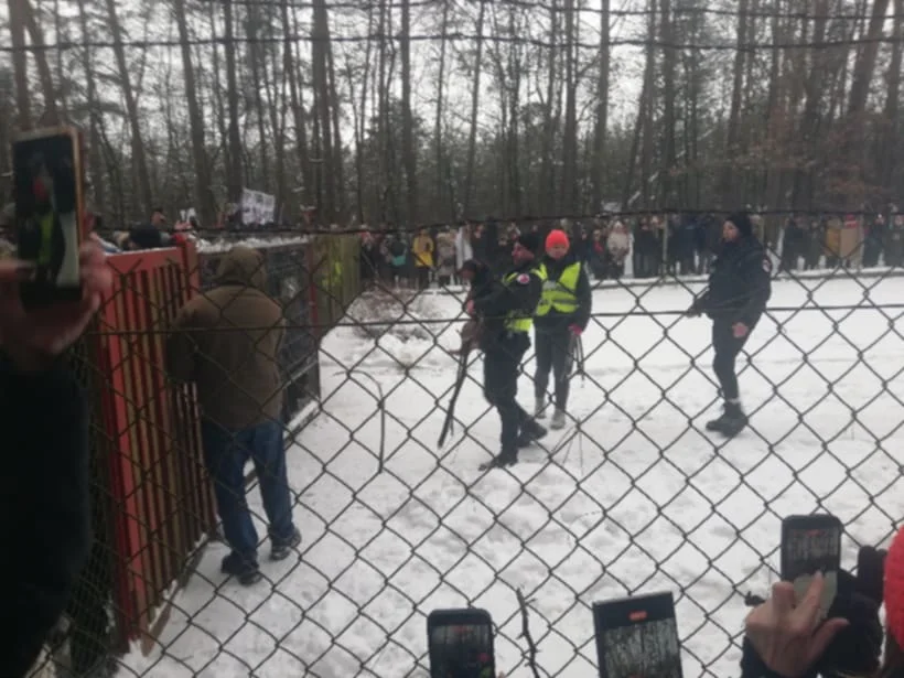 SCHRONISKO HAPPY DOG ZOSTANIE ZAMKNIĘTE! Psy trafiają poza teren schroniska - Zdjęcie główne