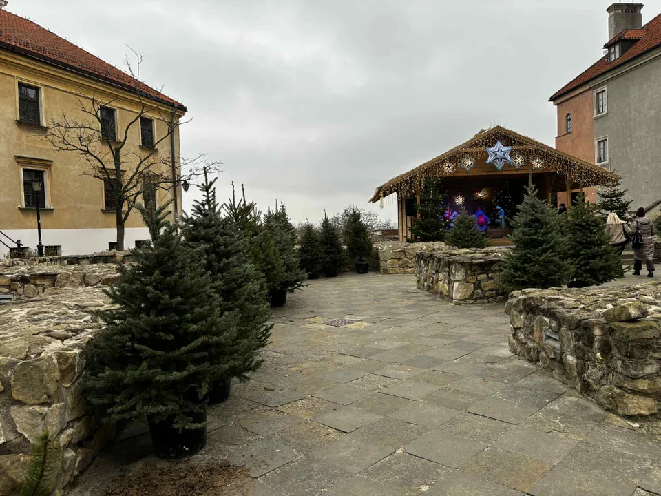 Szopka bożonarodzeniowa