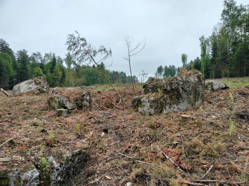 Lubelskie: Historyczna niespodzianka. Budowa ekspresówki odsłoniła bunkier z czasów wojny