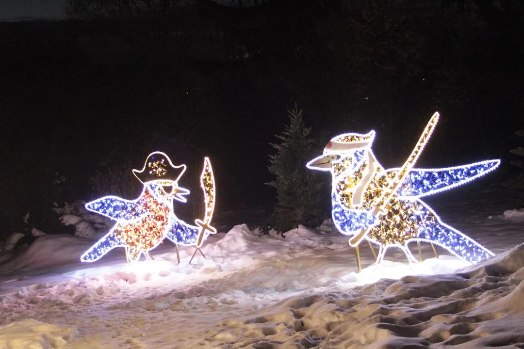 Tajemniczy ogród - Lumina Park. ZDJĘCIA