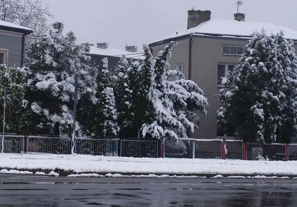 Pierwszy śnieg w Parczewie