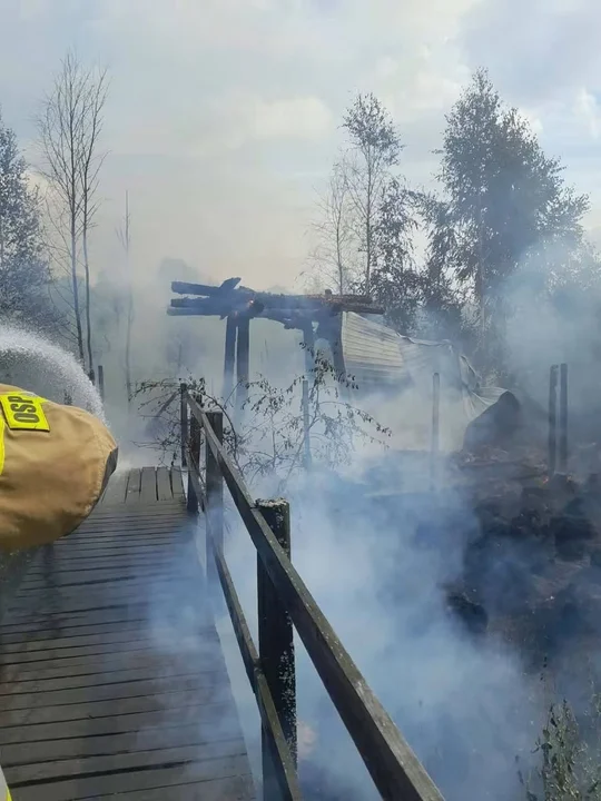 Groźny pożar w powiecie parczewskim. Pół hektara lasu i wieża widokowa płomieniach