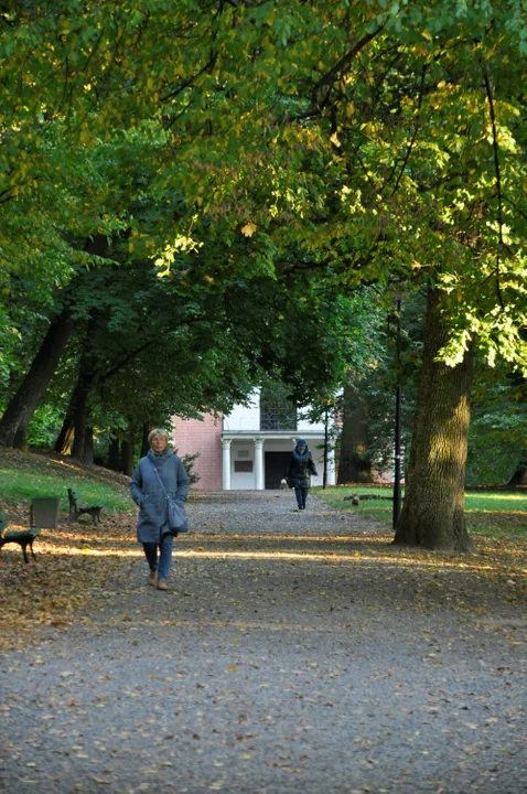 Jesień w Parku Czartoryskich