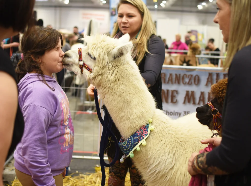 Targi ZOO Park w Lublinie. Króliki, małpki, lemury i drób ozdobny [ZDJĘCIA] - Zdjęcie główne