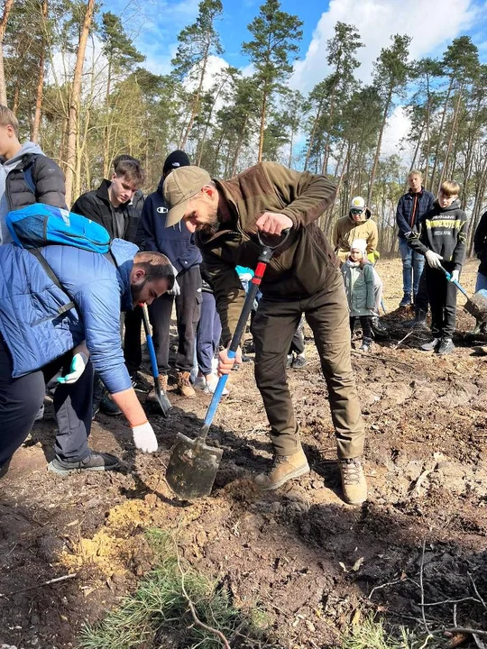 Młodzież II LO w Lubartowie sadziła drzewa w Lasach Kozłowieckich