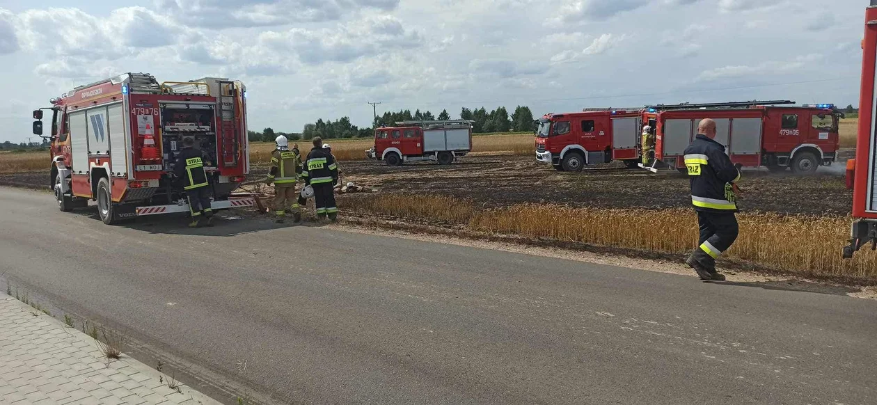 Pożar zboża w miejscowości Wojcieszków