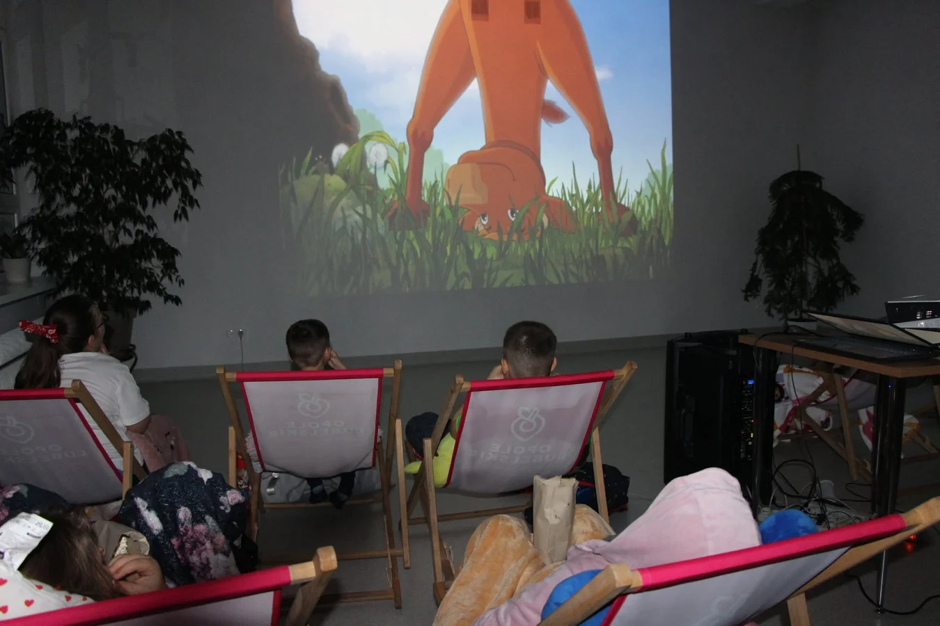 Opole Lubelskie: Noc bibliotek – zdjęcie 2