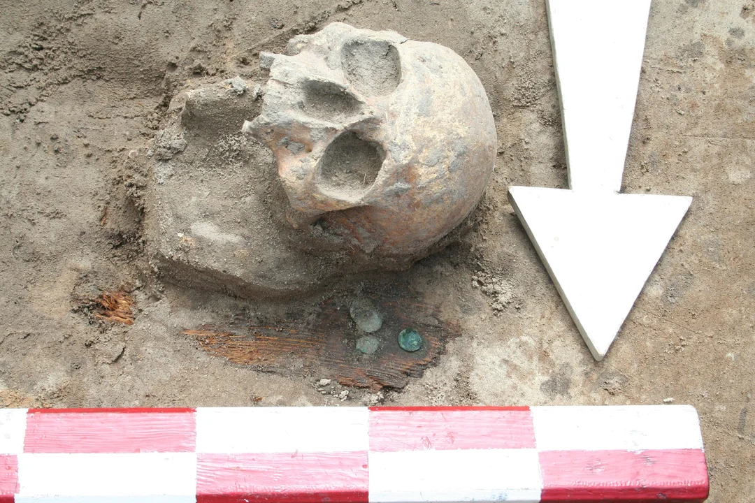 Województwo lubelskie: Kolejne znaleziska archeologów w trakcie wykopalisk - Zdjęcie główne